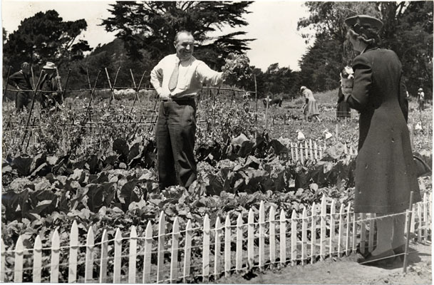 Victory Gardens