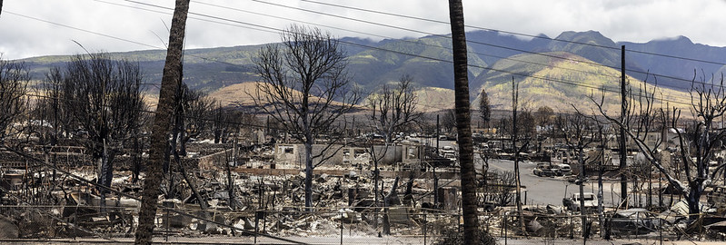 Social media has erupted with theories on what sparked the devastating wildfires that burned much of the Hawaiian island of Maui.